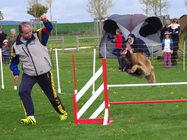 Concours d'agility, Barges, 16 avril 2017
