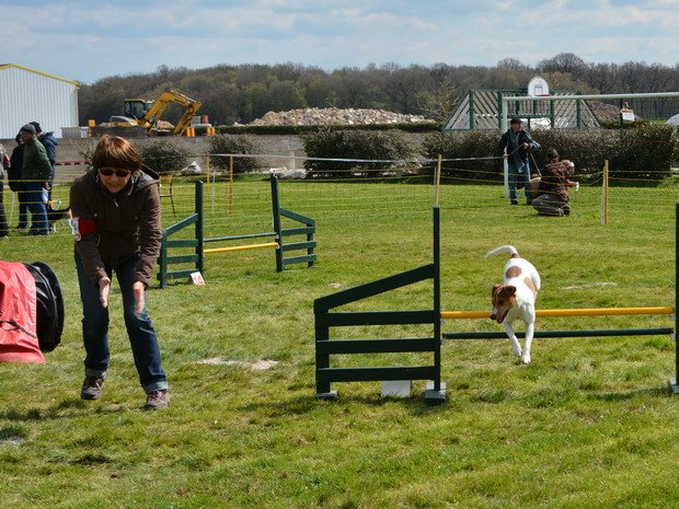 concours d'agility, Barges, 5 avril 2015