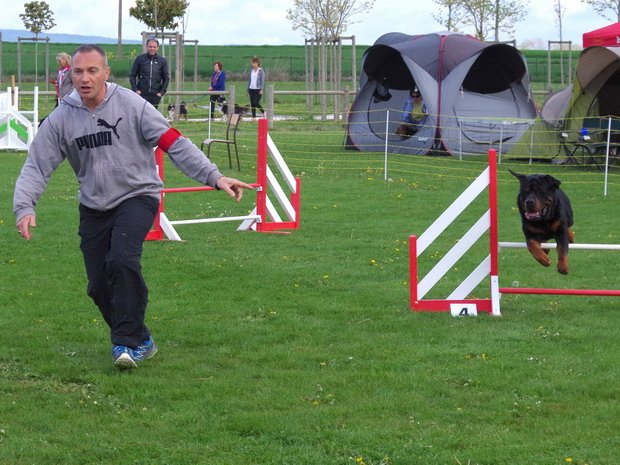 Concours d'agility, Barges, 16 avril 2017