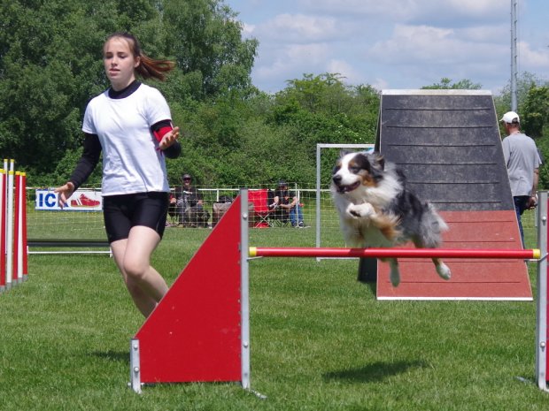 Concours d'agility, Magny sur Tille, 26 mai 2019